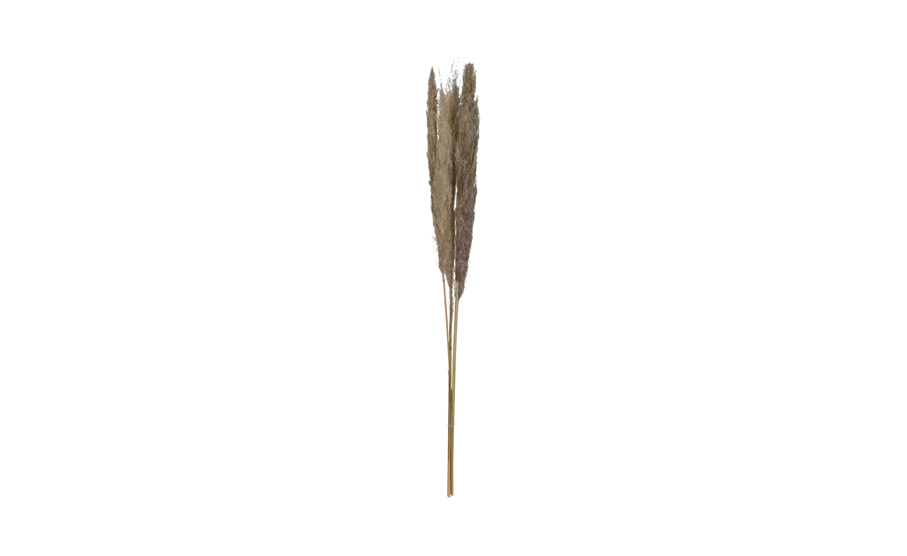 Dekorativna grana Hunter 115cm više vrsta