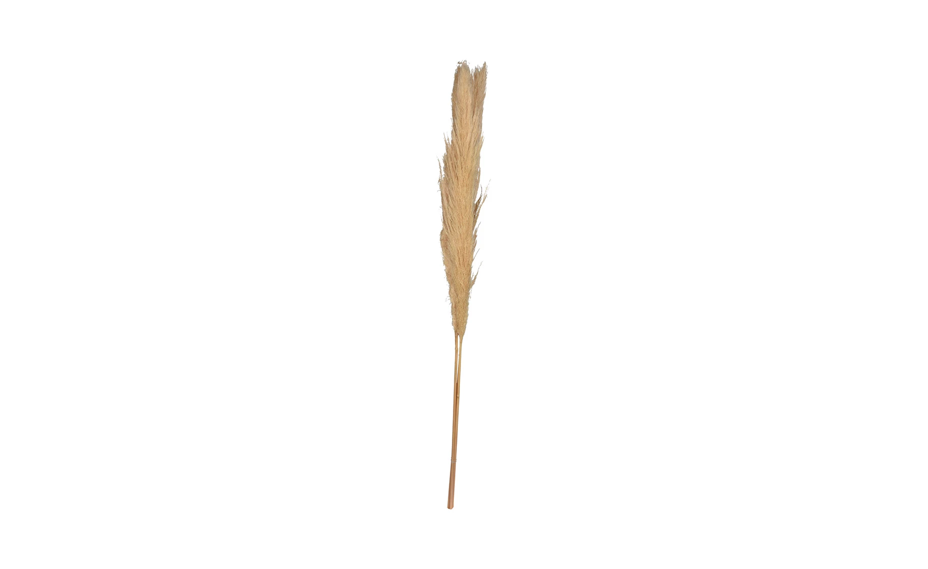 Dekorativna grana Hunter 115cm više vrsta