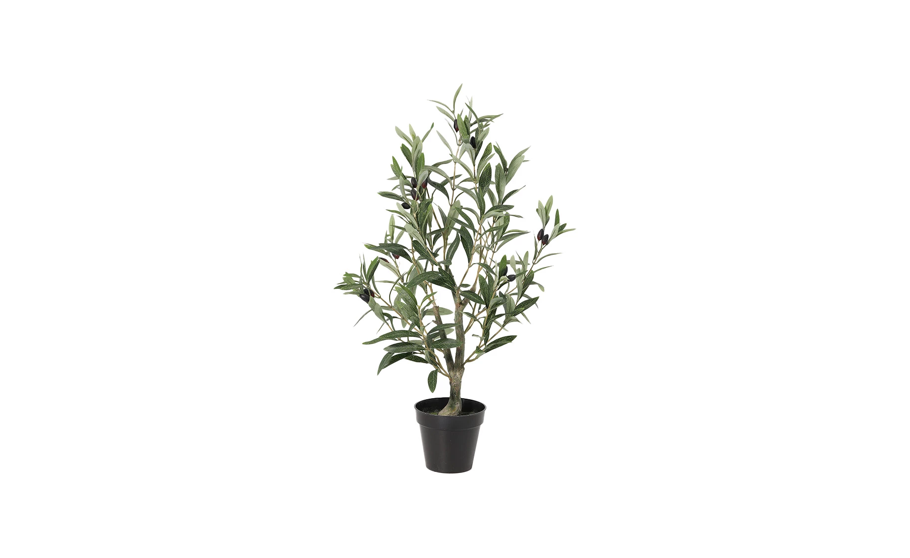 Biljka u posudi Olive 66 cm