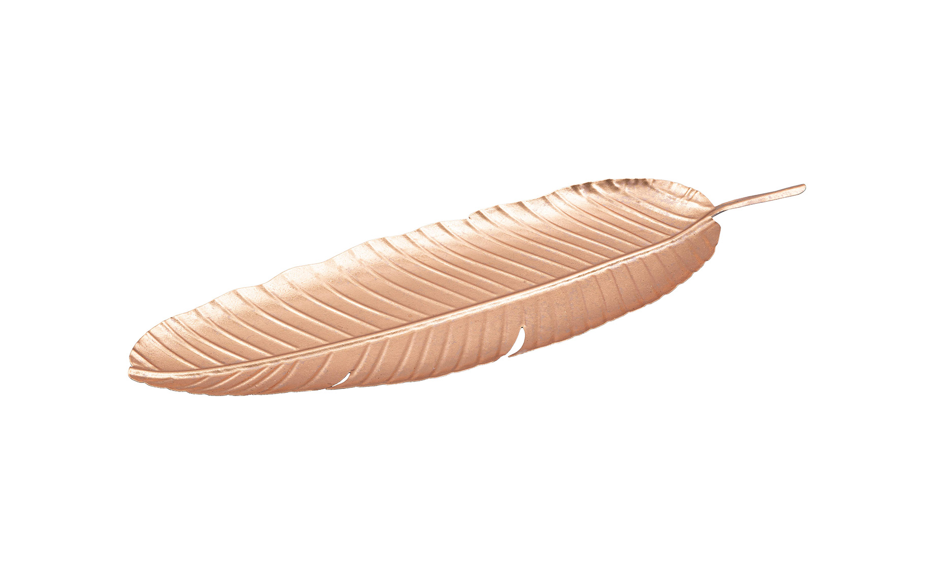 Dekoracija Feather 18x55cm