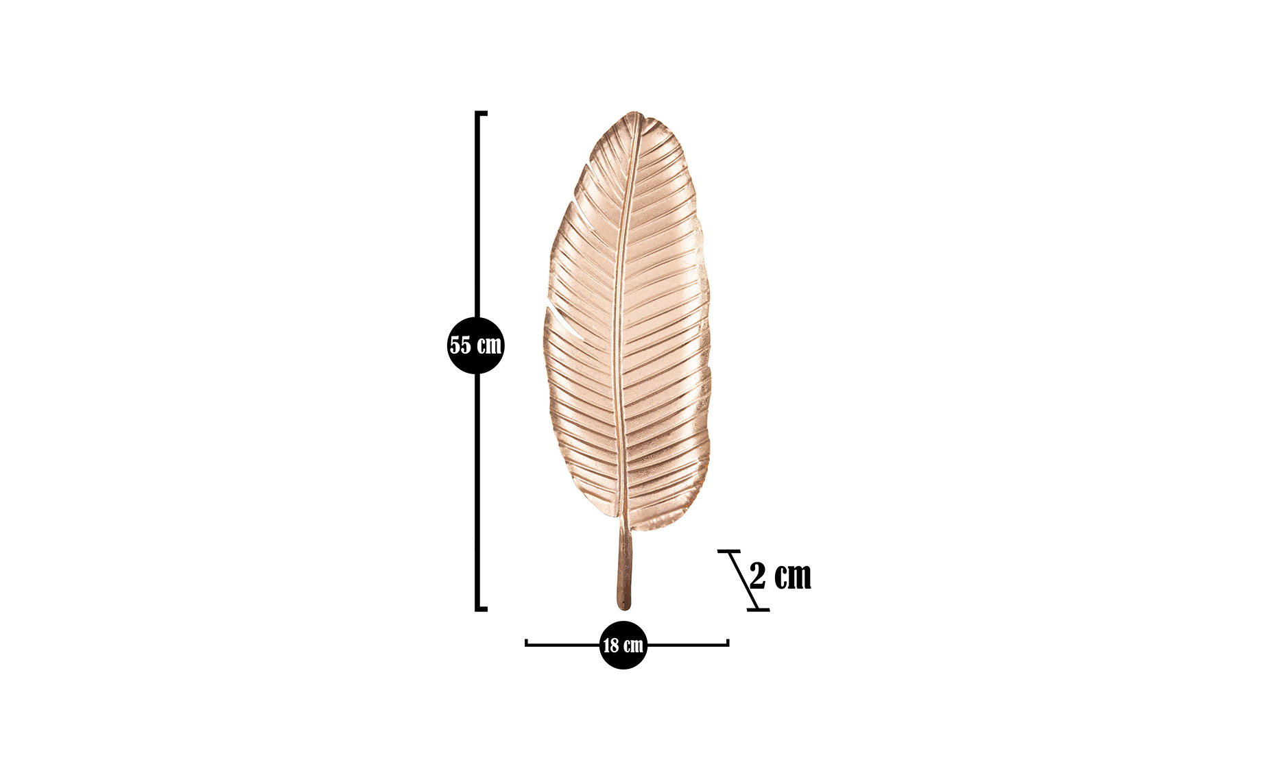 Dekoracija Feather 18x55cm