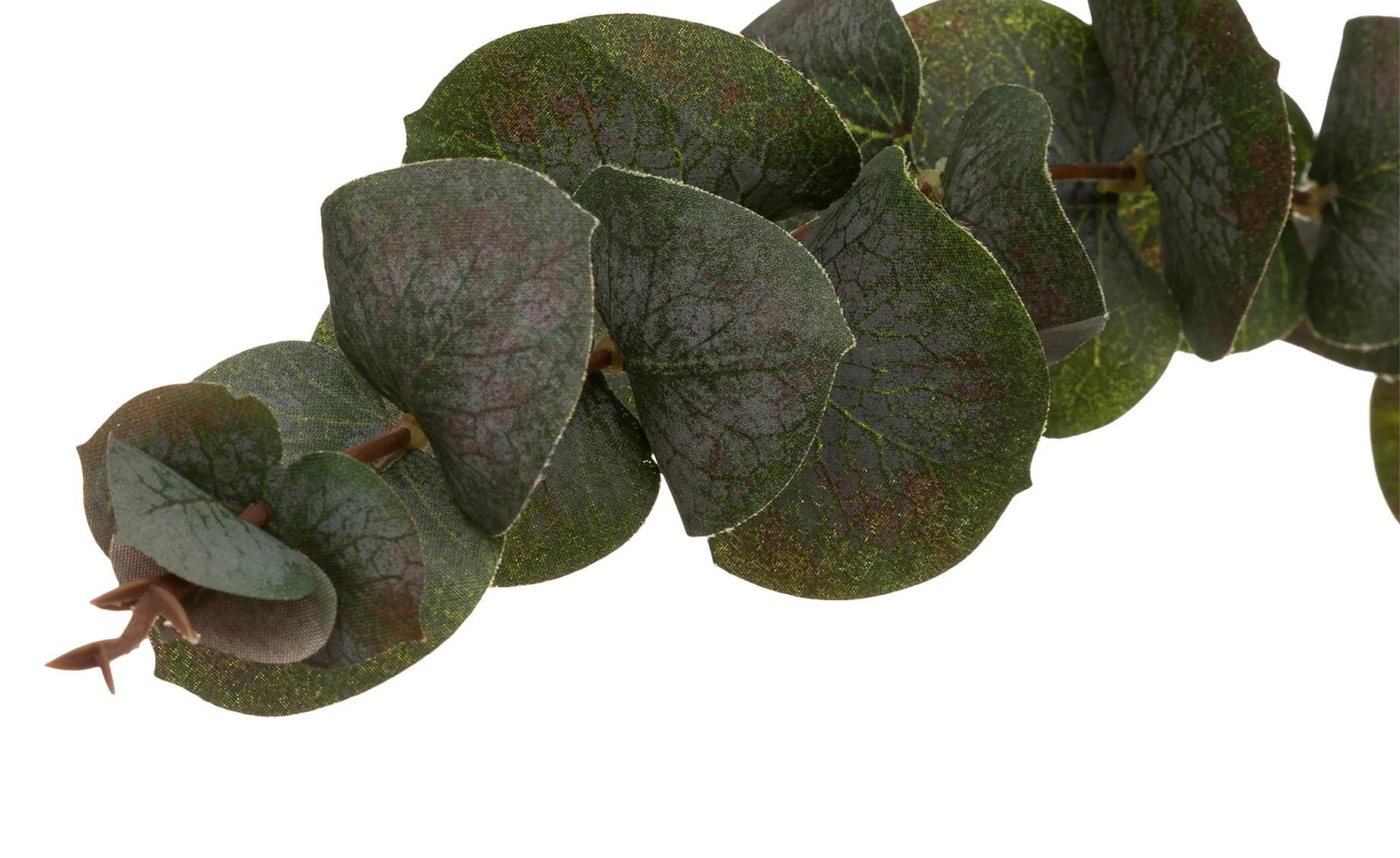 Deko grana Eucalyptus 12x118cm