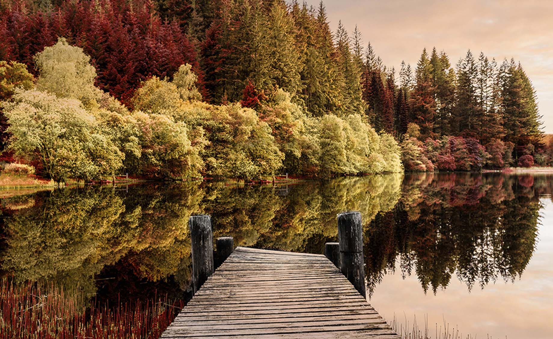 Slika staklo Autumn path 80x120cm