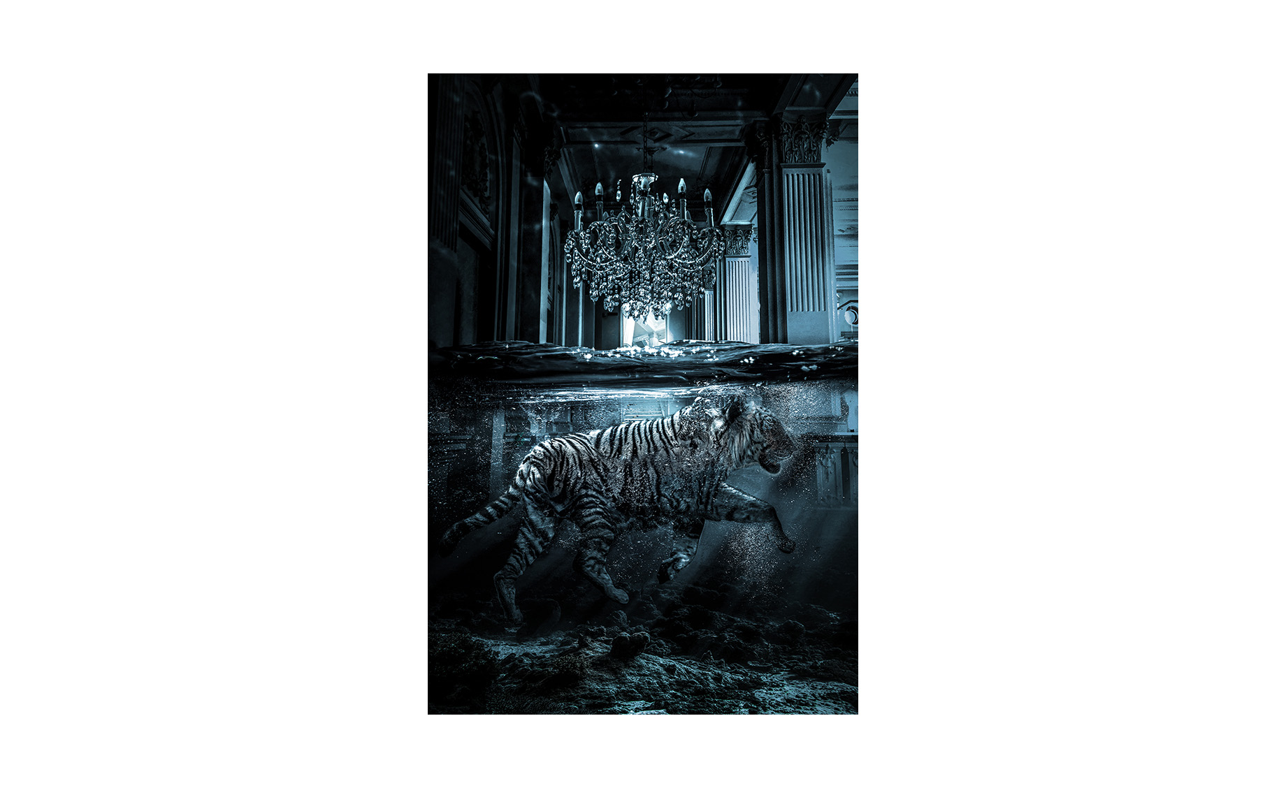 Slika staklo  Swimming Tiger 80x120cm