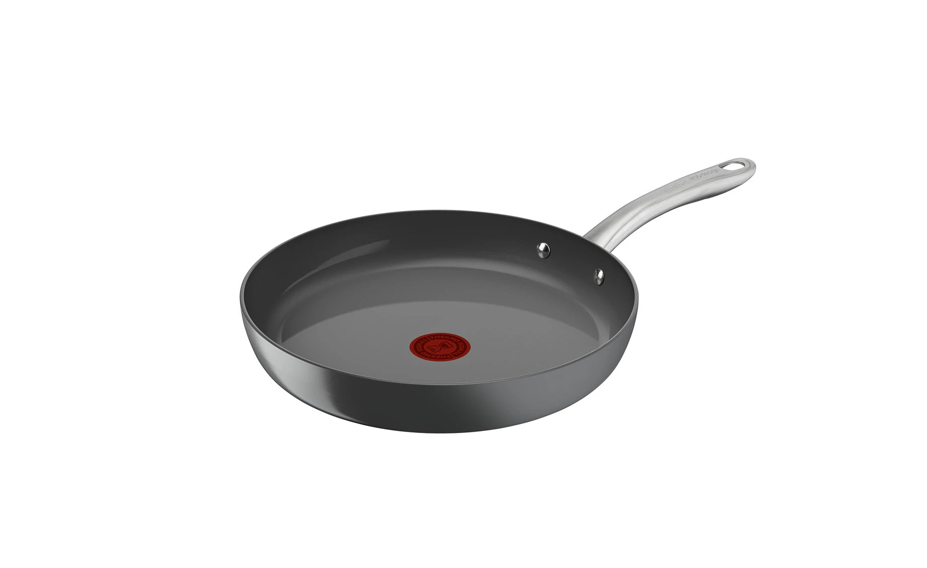 Tava Renew 30cm Tefal