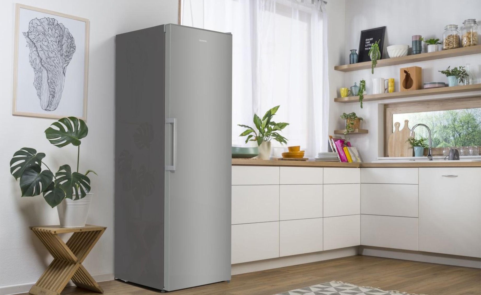 Gorenje R619EES5 frižider