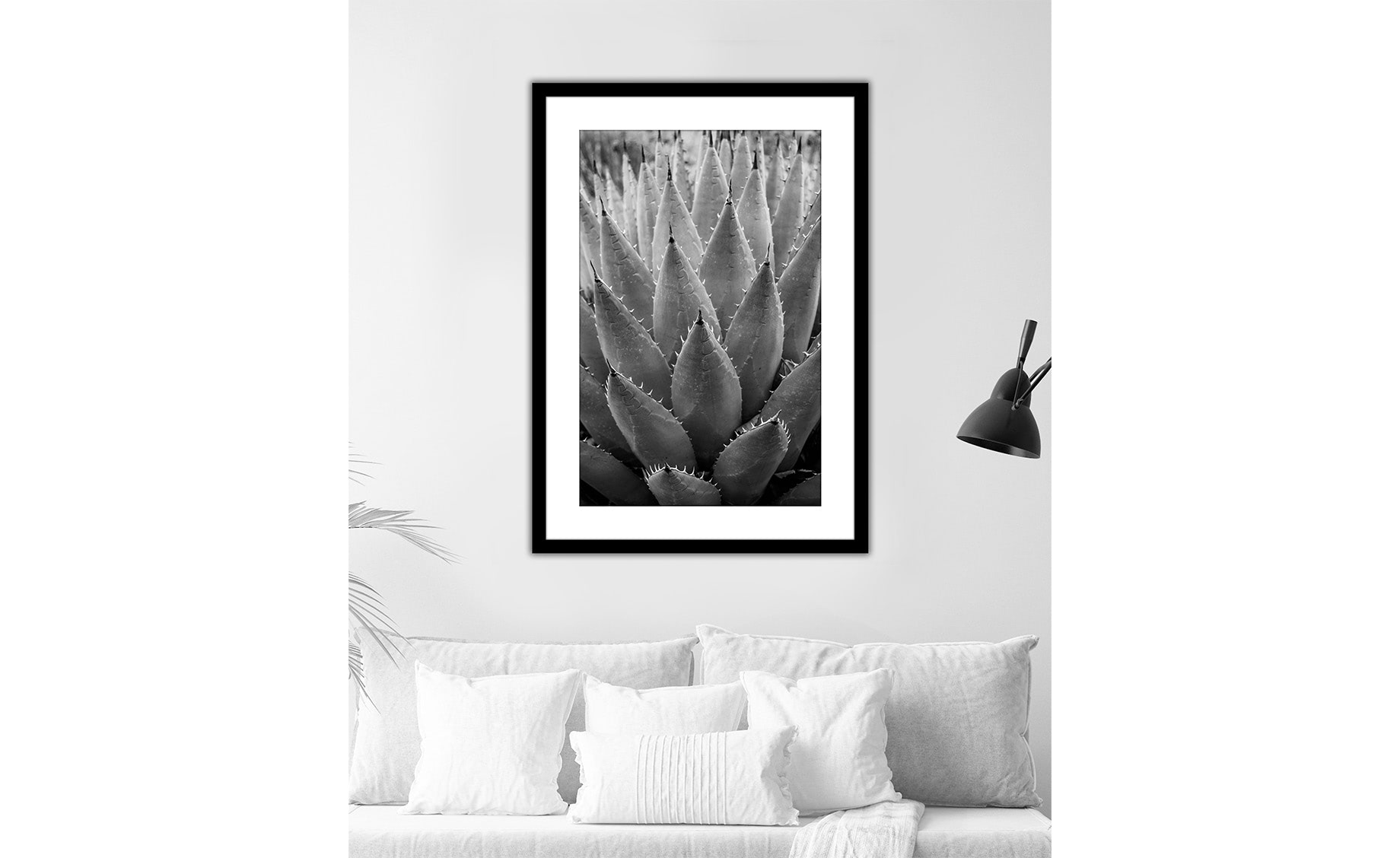 Slika sa ramom Aloe 50X70cm