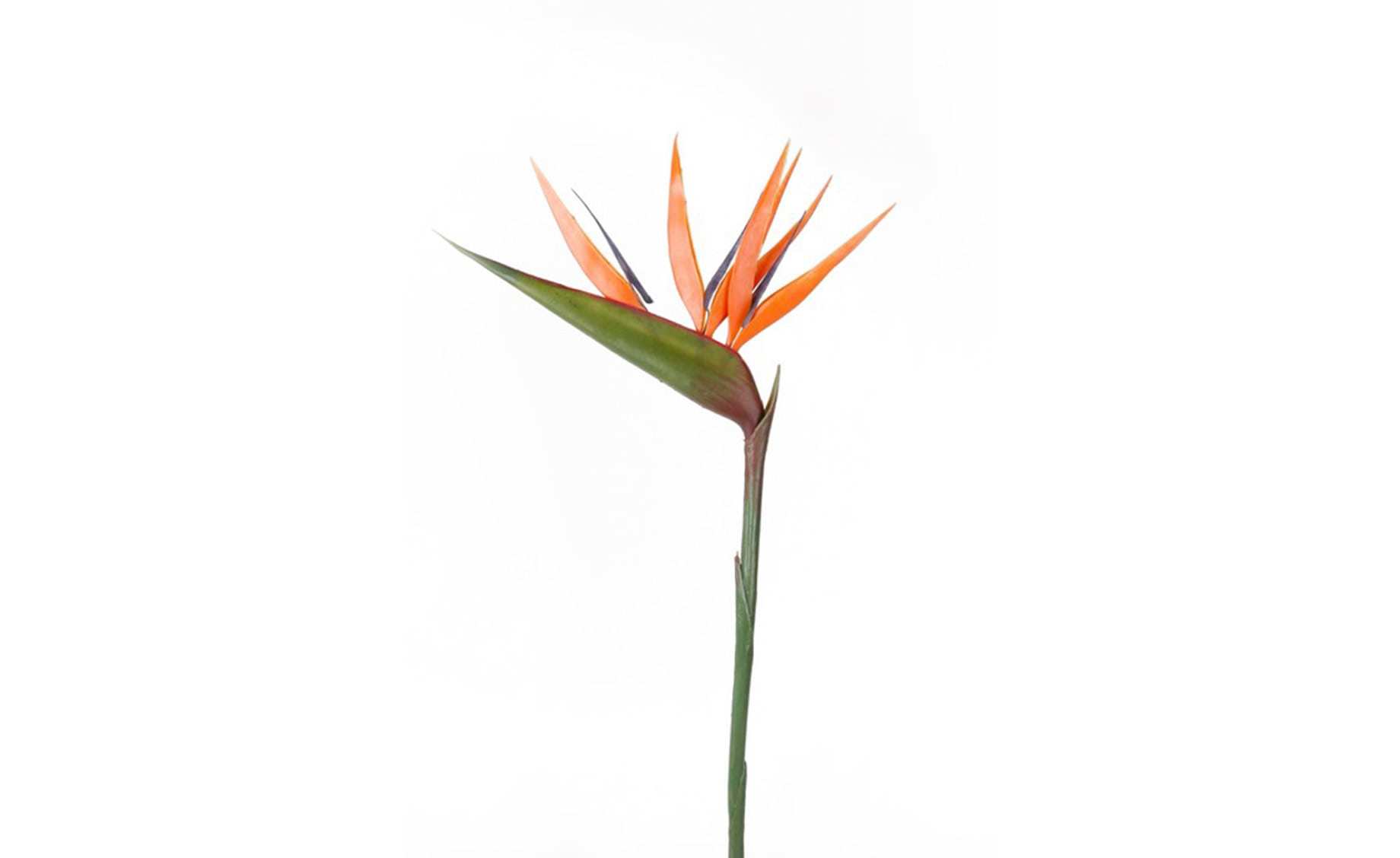 Veštački cvet Strelitzia 90cm