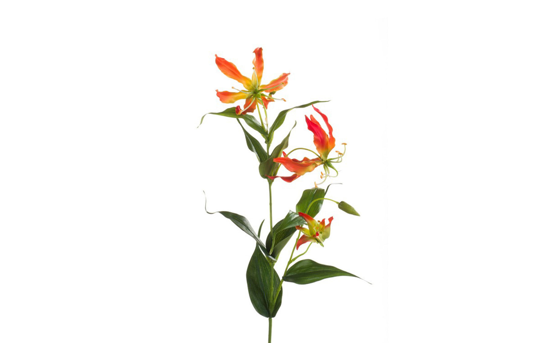 Veštački cvet Gloriosa 75cm