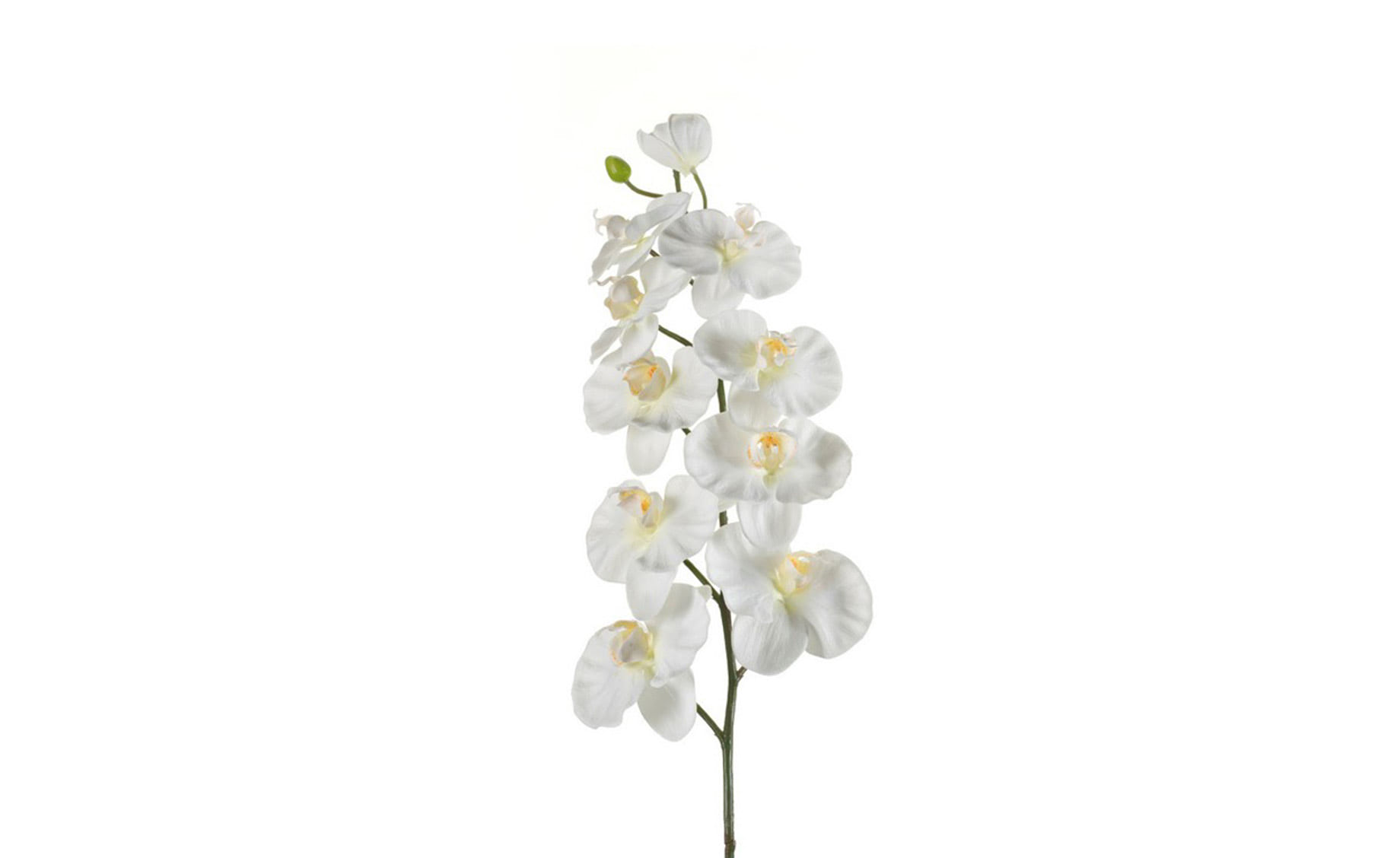 Veštački cvet Phalaenopsis 100cm bijeli