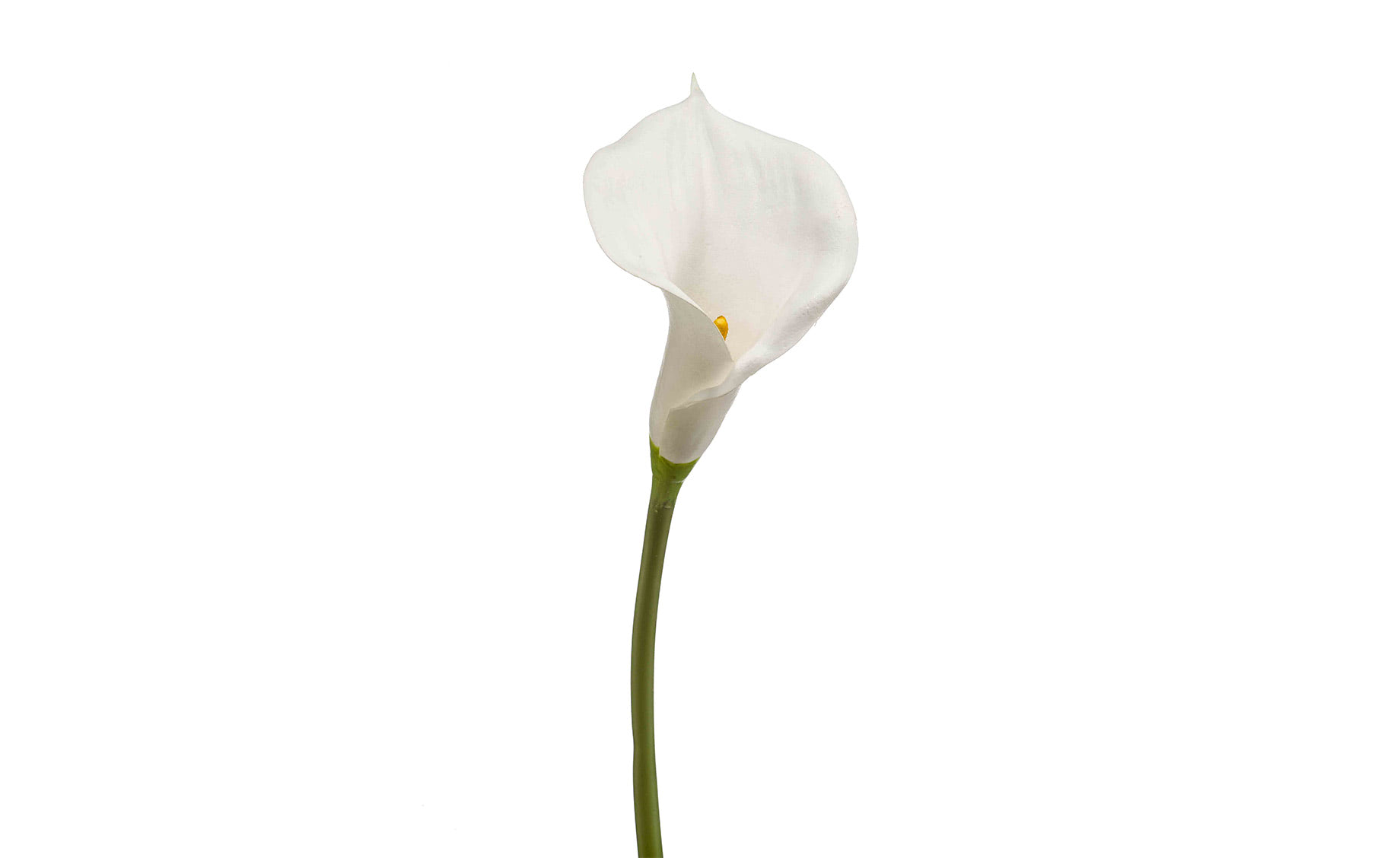 Veštački cvet Calla 70cm beli