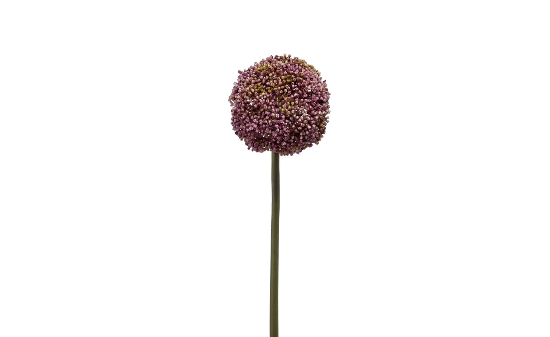Veštački cvet Allium 75cm