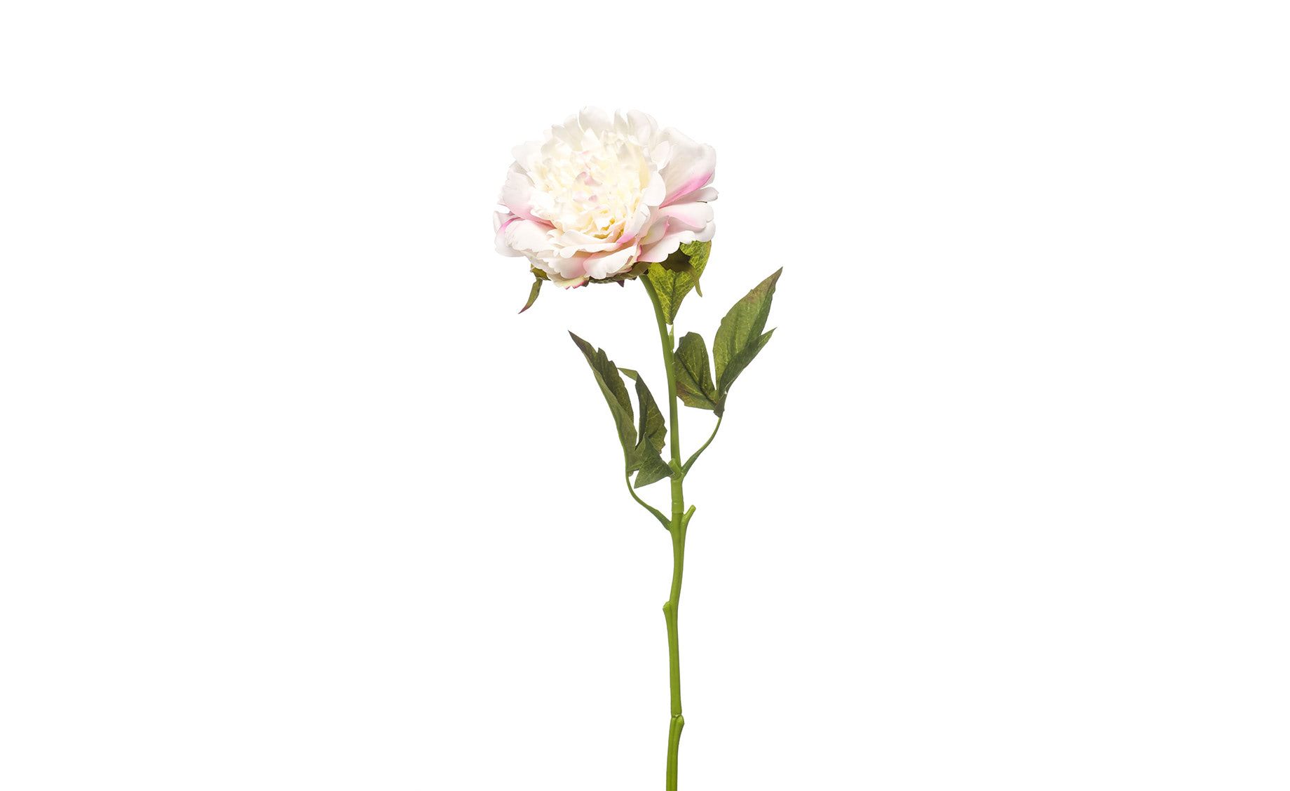 Veštački cvet Peony 56cm beli