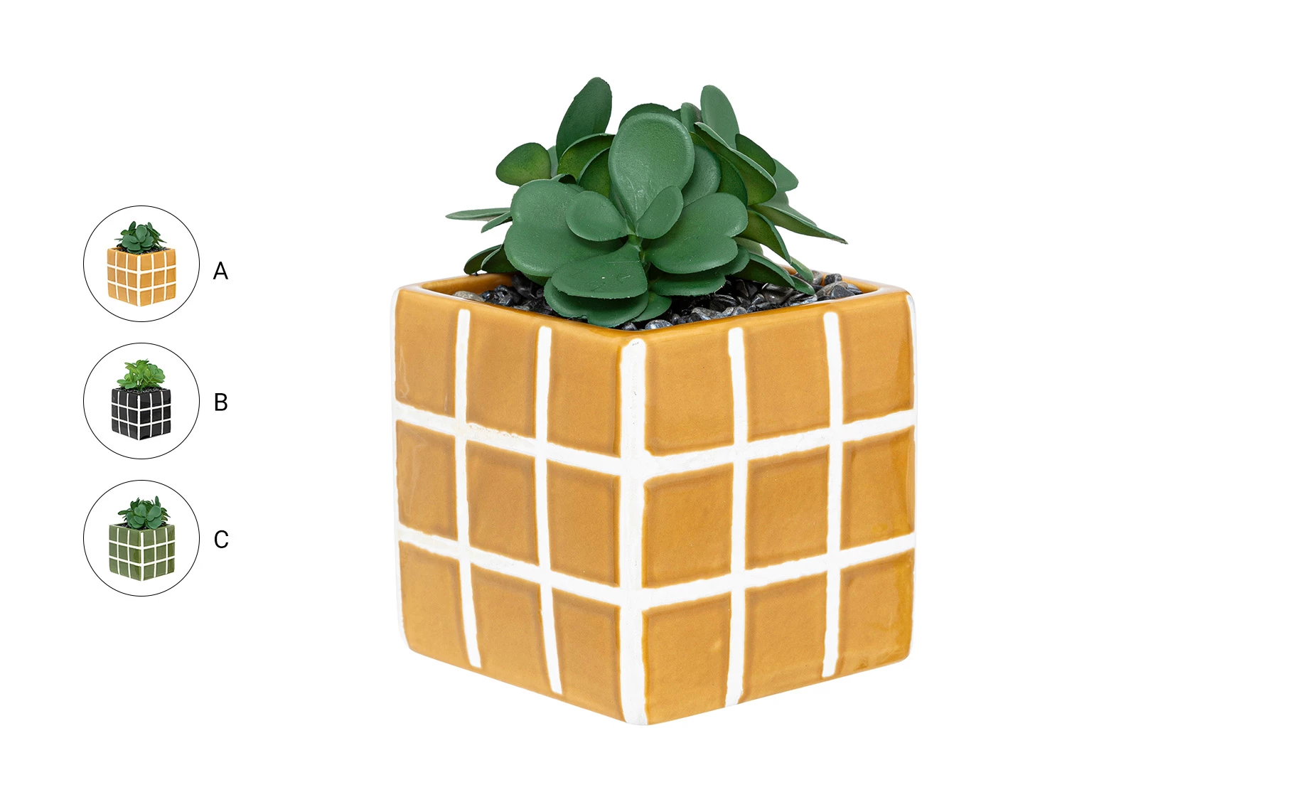 Biljka u saksiji Kadi 10x17cm više boja