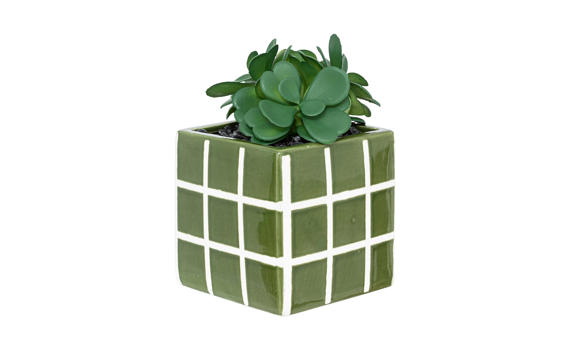 Biljka u saksiji Kadi 10x17cm više boja