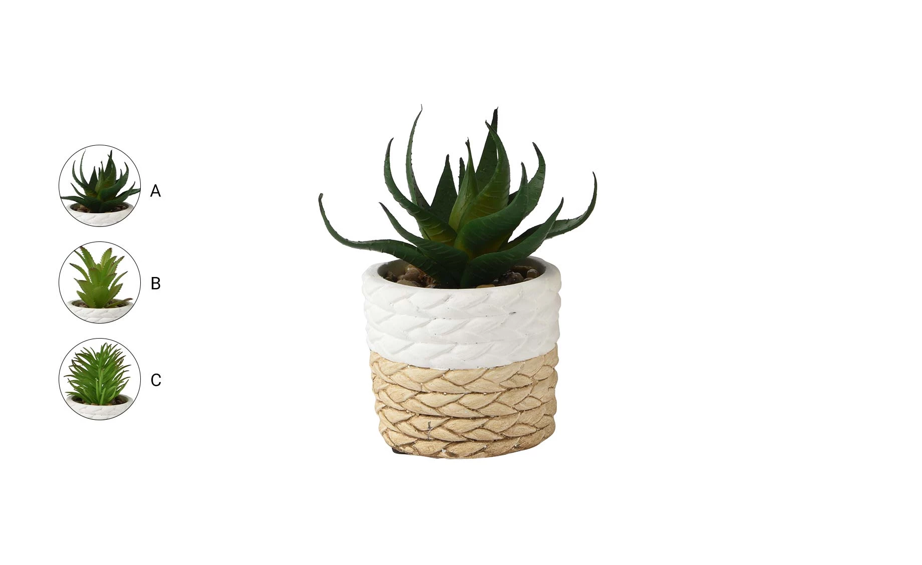 Biljka u saksiji Mirta 14x9cm više vrsta