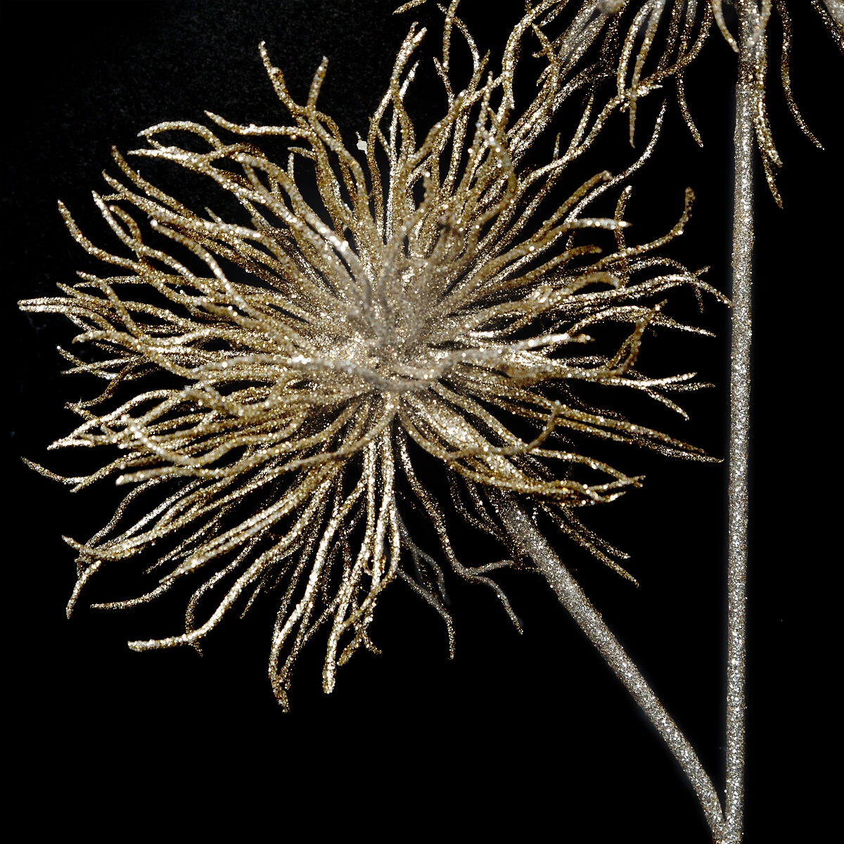 Dekorativna grana Urchin 60 cm glittery champagne