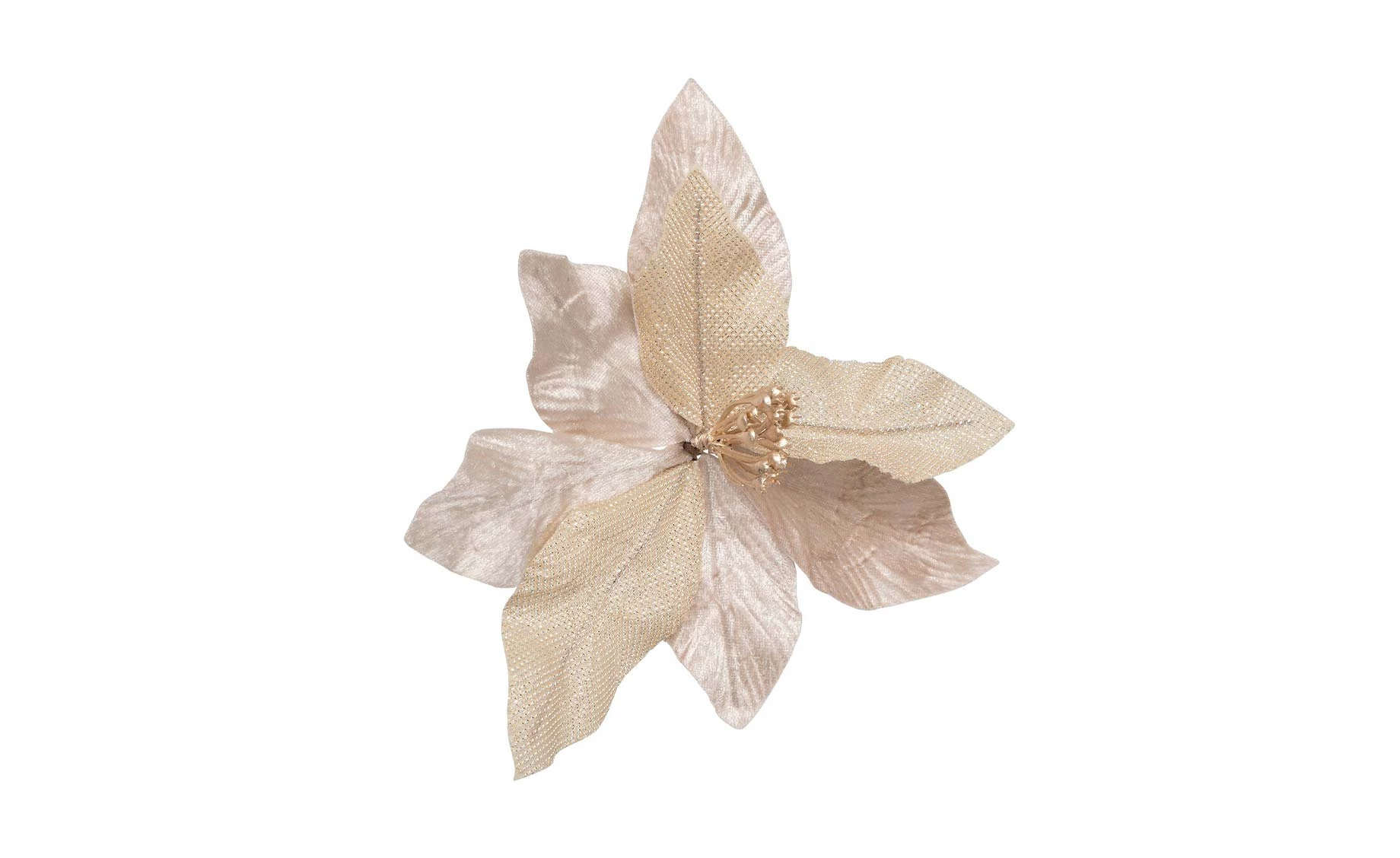 Dekorativni cvet Poinsettia na kopči beige