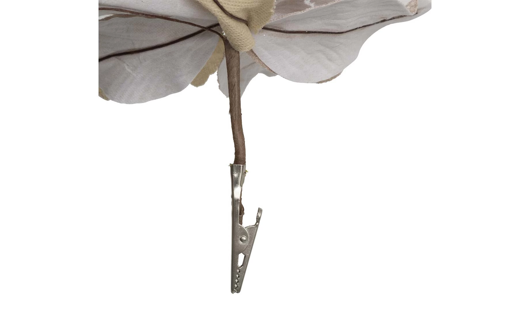 Dekorativni cvet Poinsettia na kopči beige