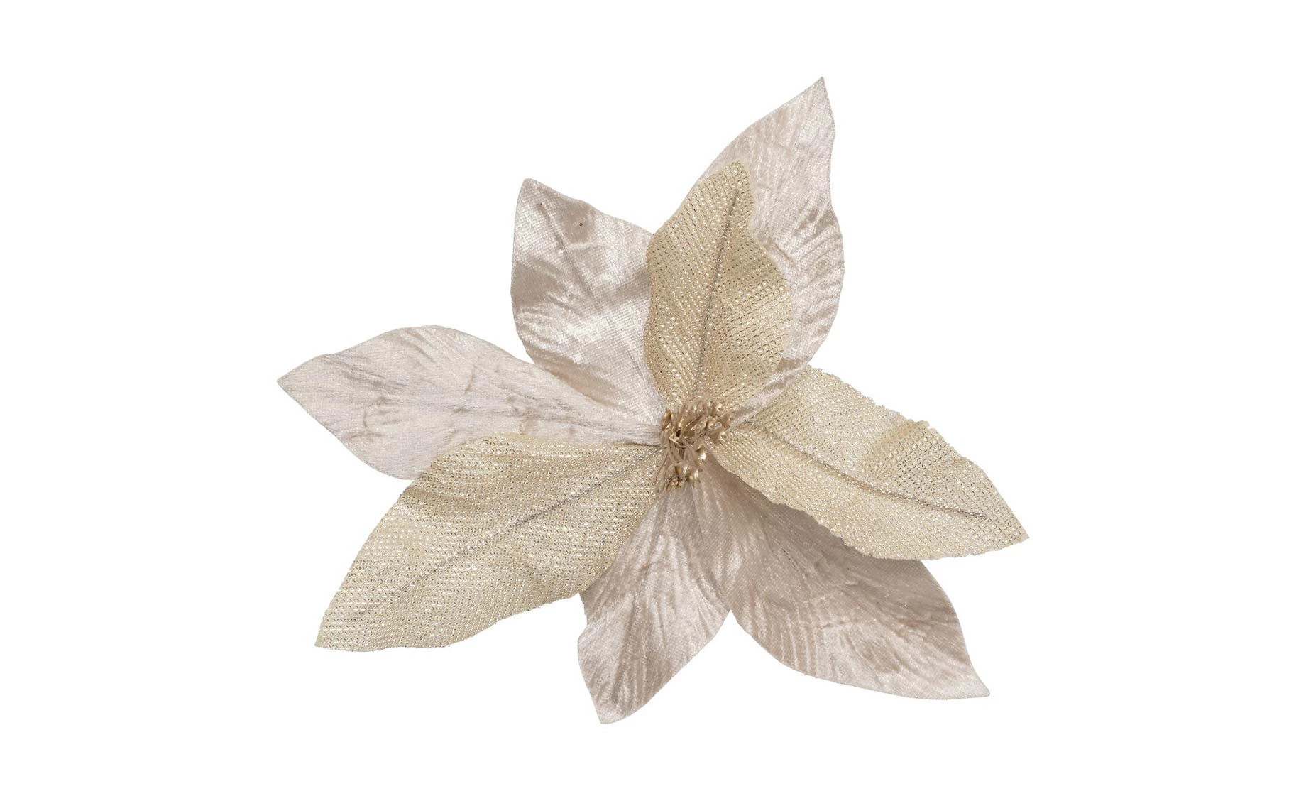 Dekorativni cvet Poinsettia na kopči beige