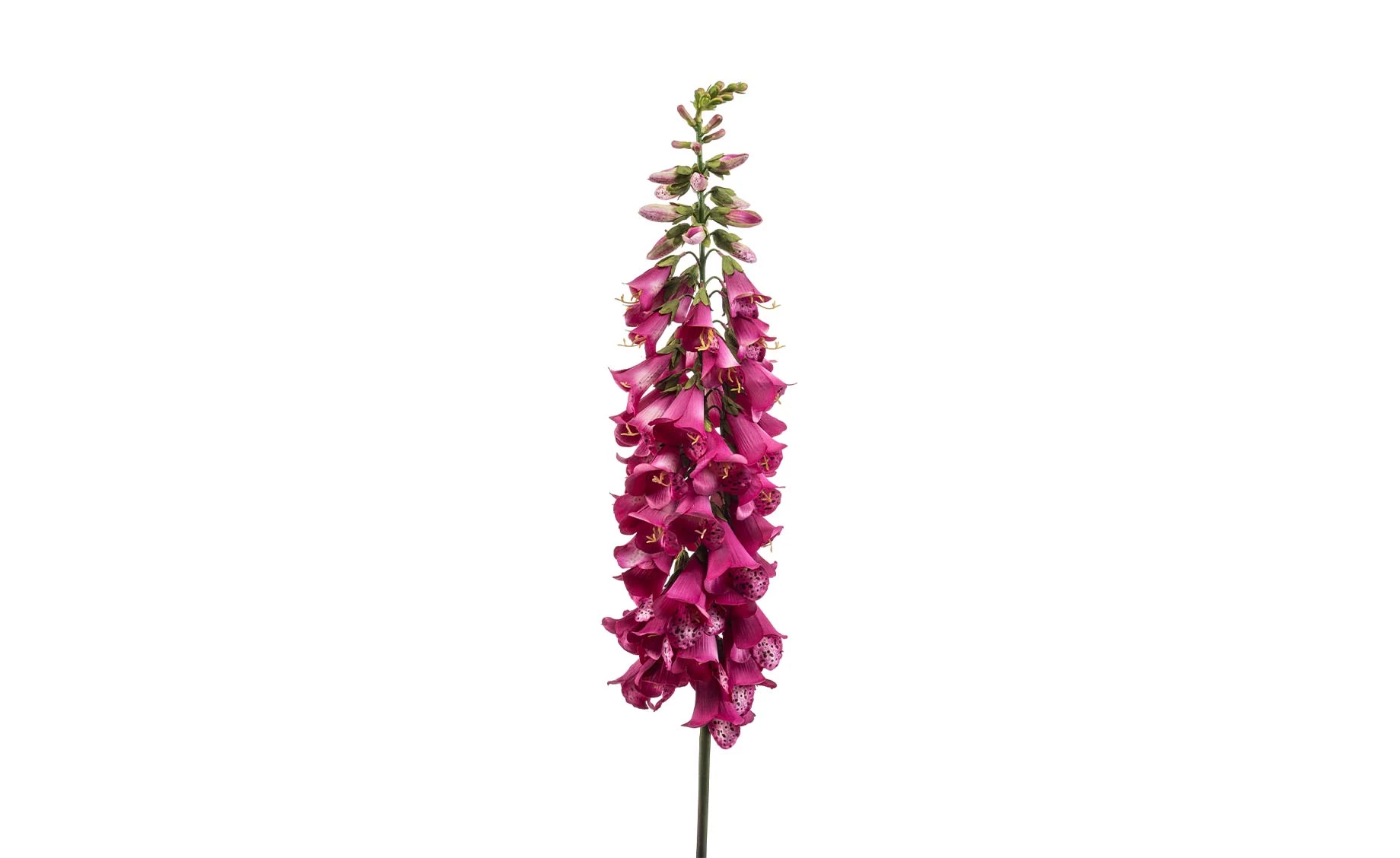 Veštačka biljka digitalis 120cm