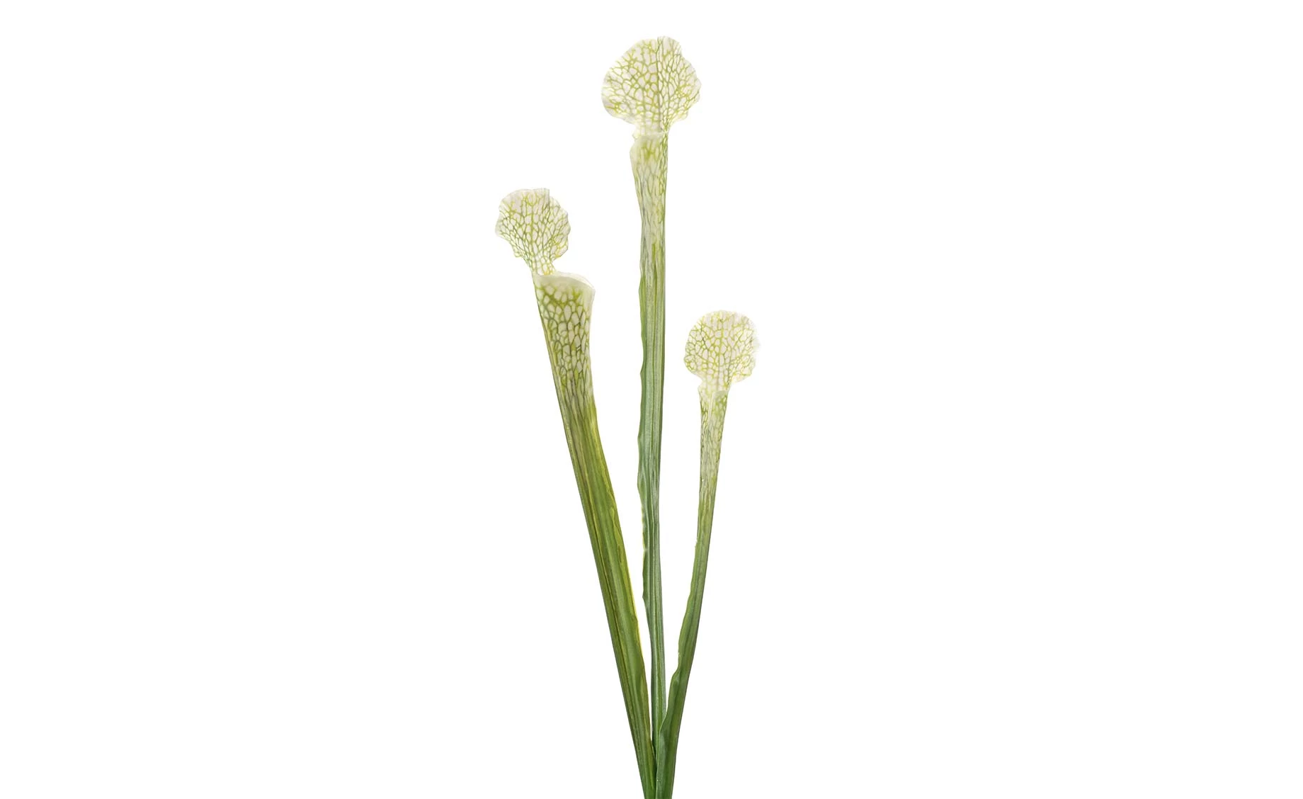 Veštačka biljka dionaea 63cm bela