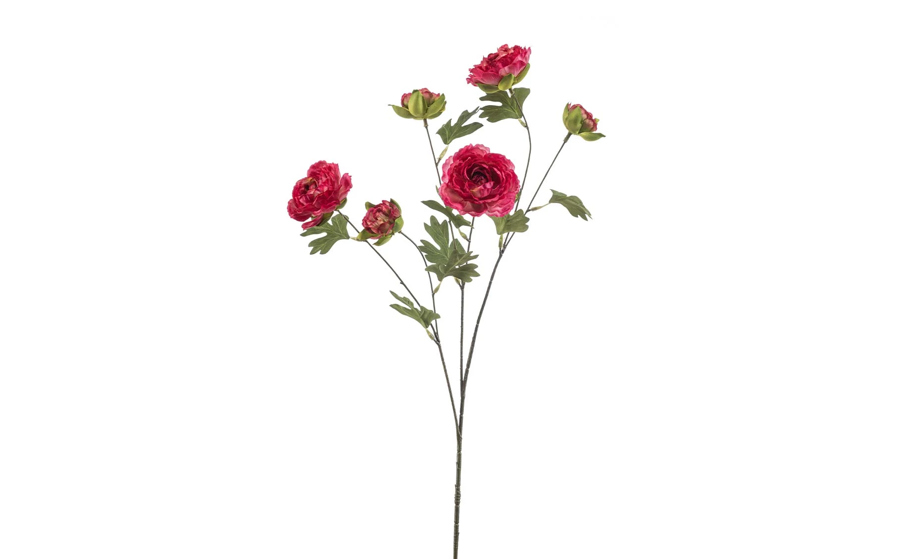 Veštačka biljka ranunculus 78 cm