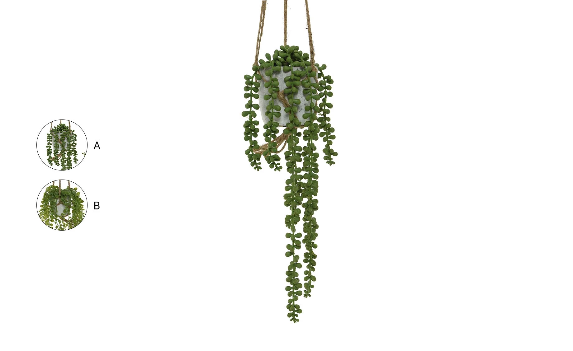 Viseća biljka u saksiji Henry 15x15cm