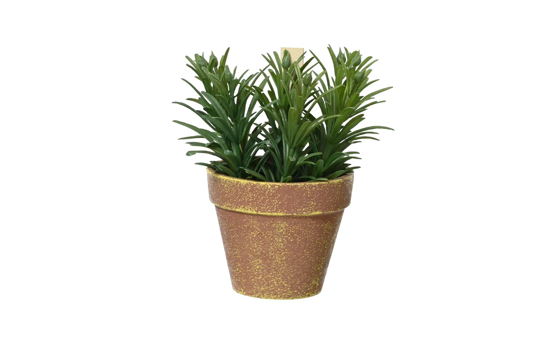 Veštačka biljka u saksiji Herbs 15x17cm sort3