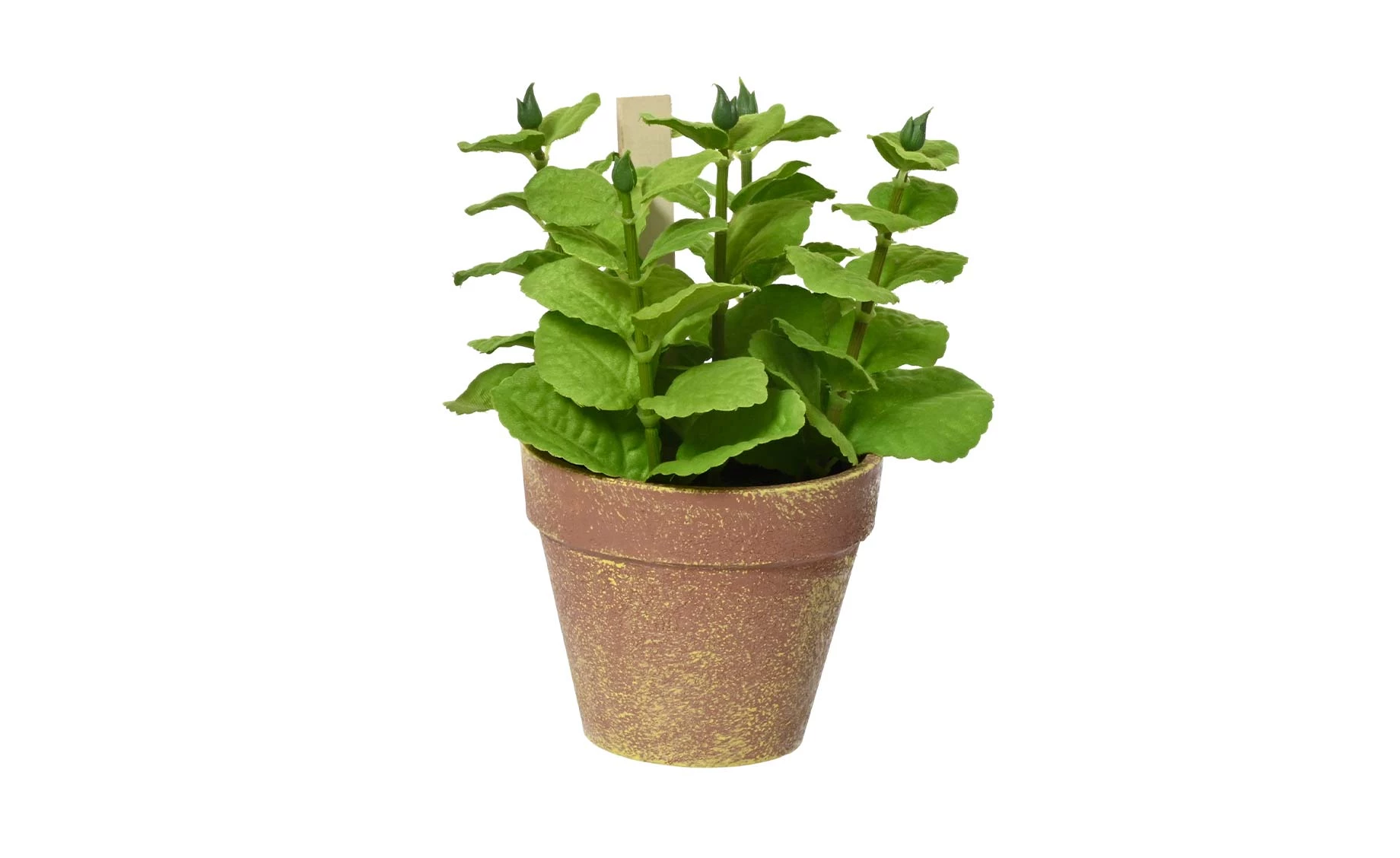 Veštačka biljka u saksiji Herbs 15x17cm sort3