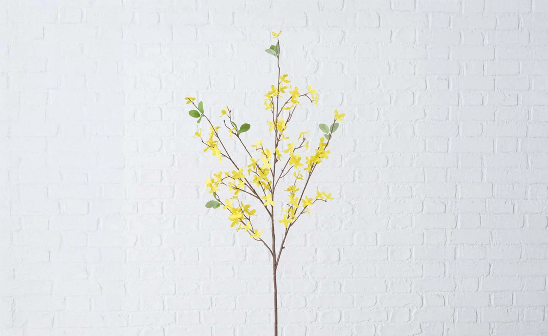Dekorativna grana Forsythia 104cm