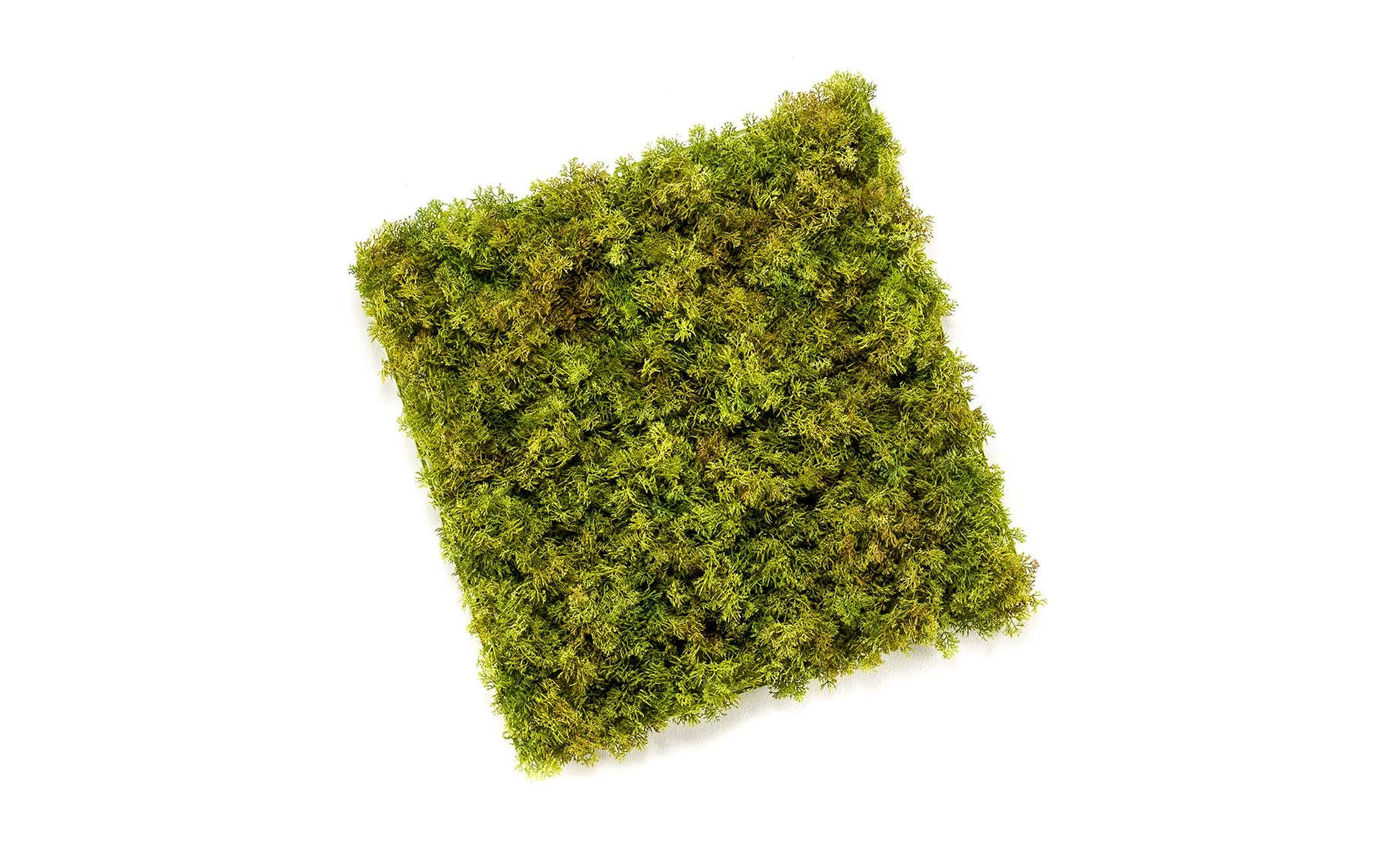 Umjetna biljka iceland moss 50x50cm