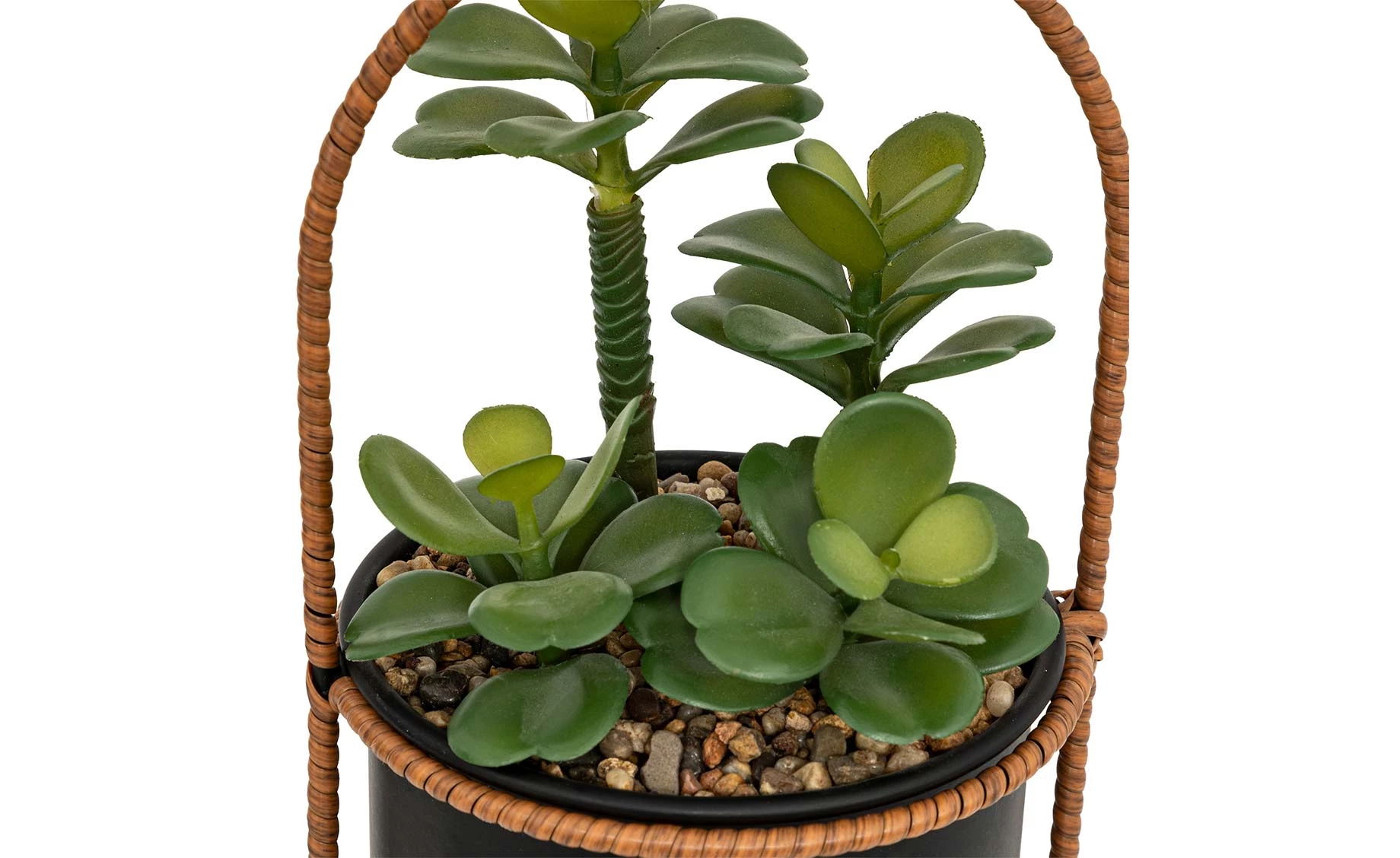 Viseća biljka u saksiji Tyla 31cm