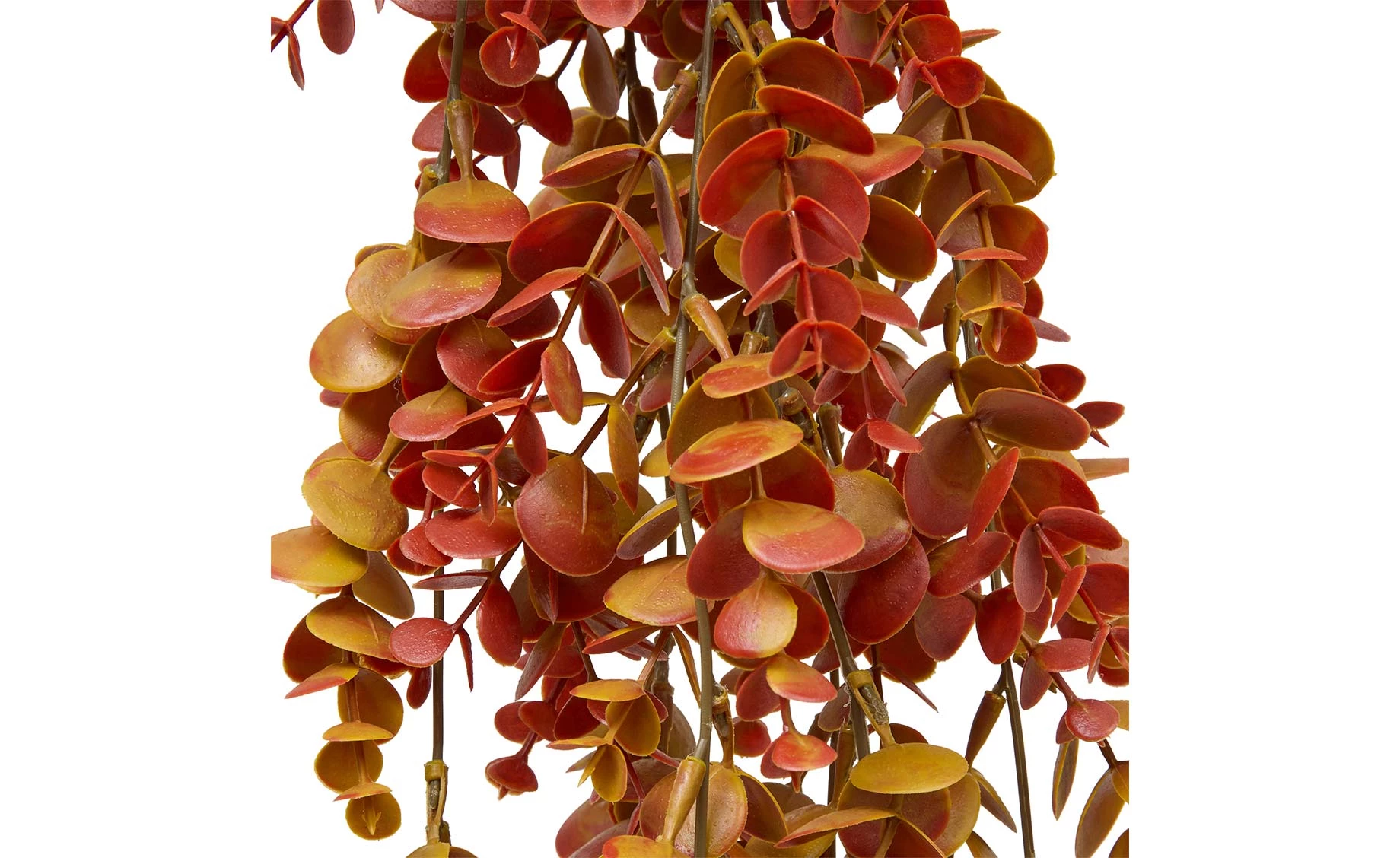 Veštačka biljka Eucalyptus 80cm narandžasta