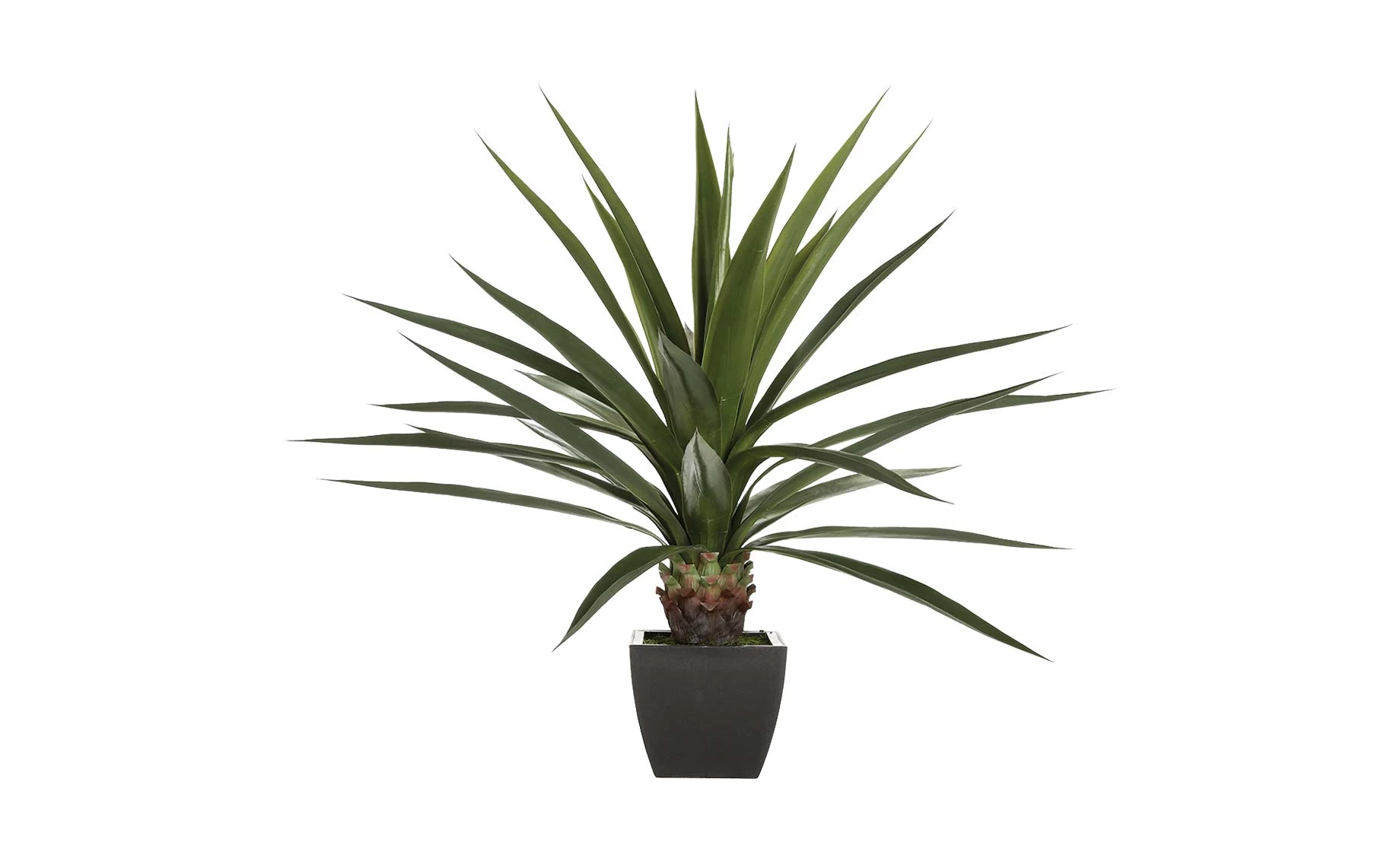 Veštačka biljka Agave 130cm