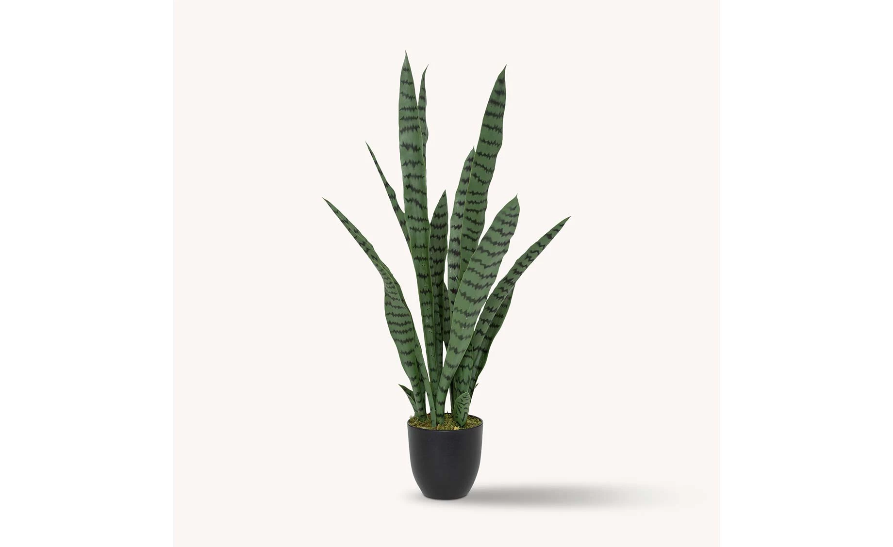 topfpflanzen hader HaGaFe Torfreduzierte Premium Blumenerde, Universalerde zum Topfen und   HaGaFeShop