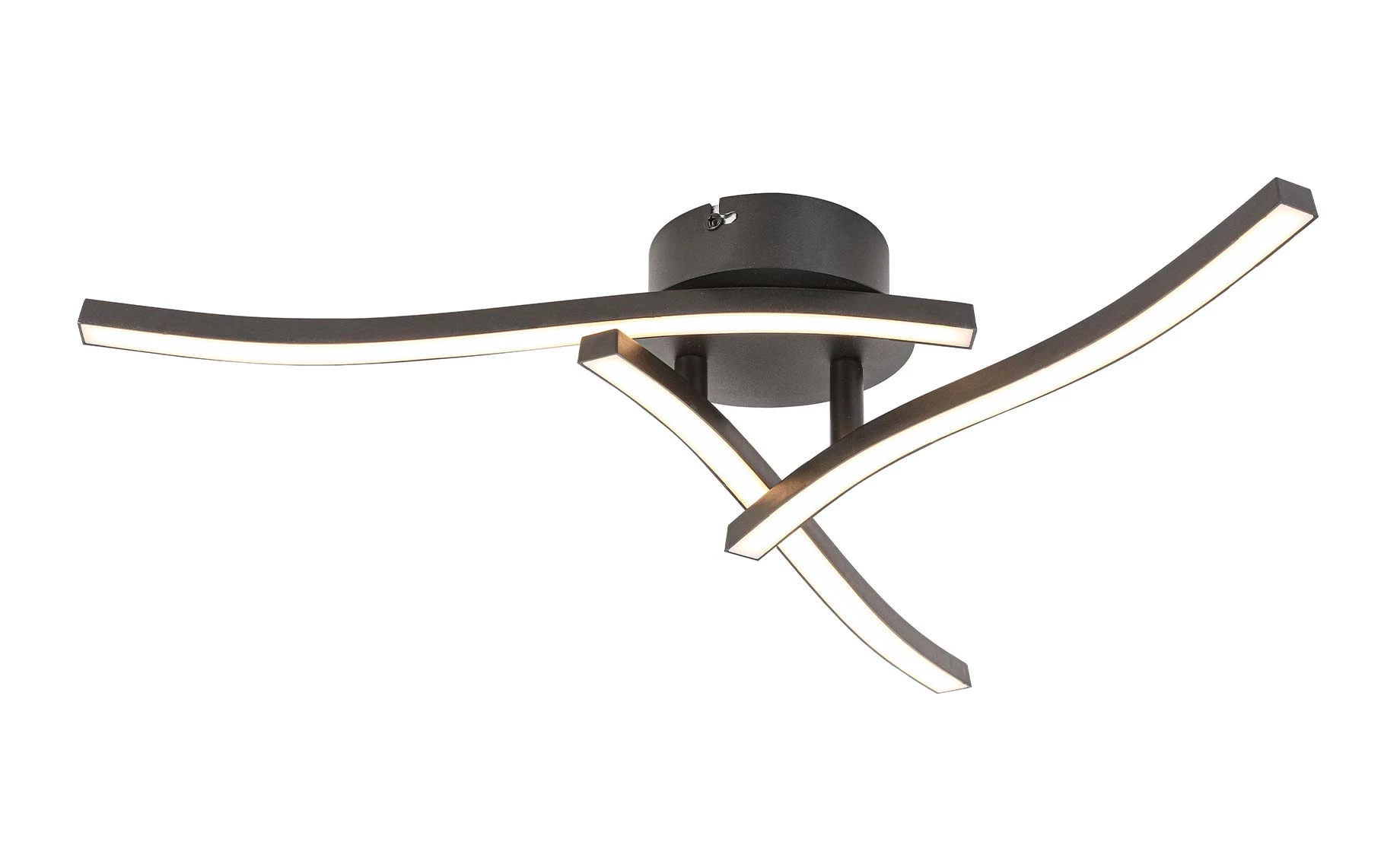 Stropna lampa Cora LED 3