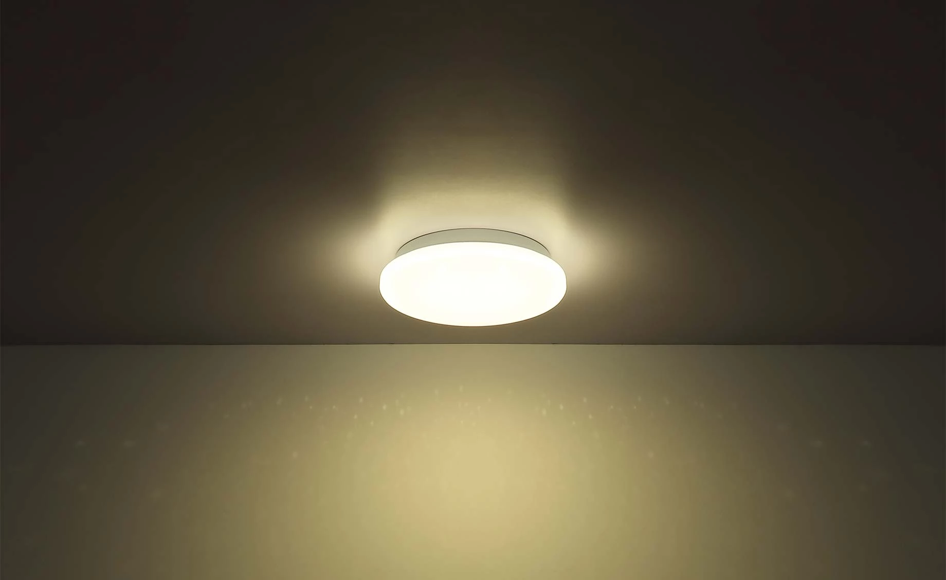 Stropna lampa Flary LED