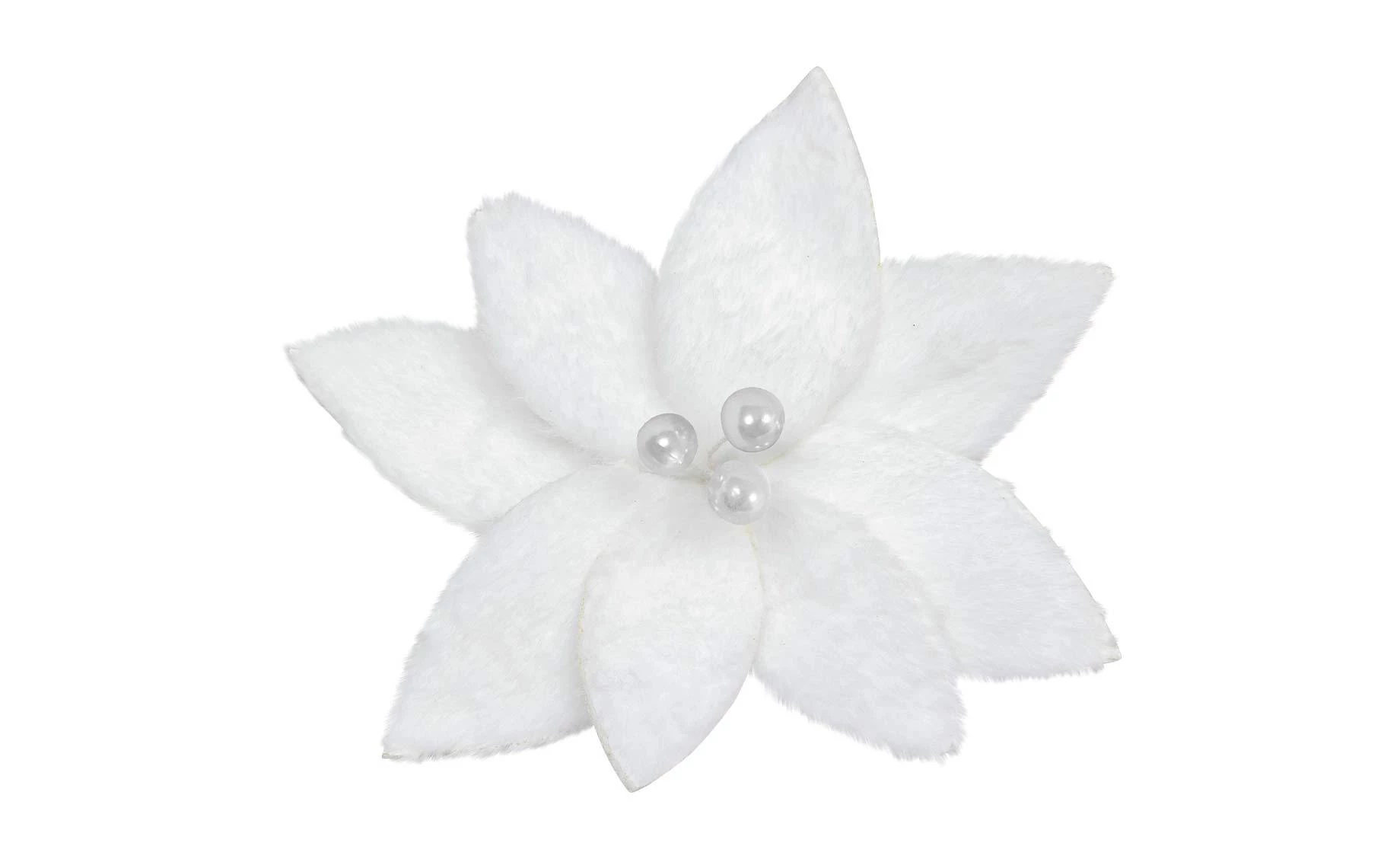 Dekorativni cvet Poinsettia 25 cm white