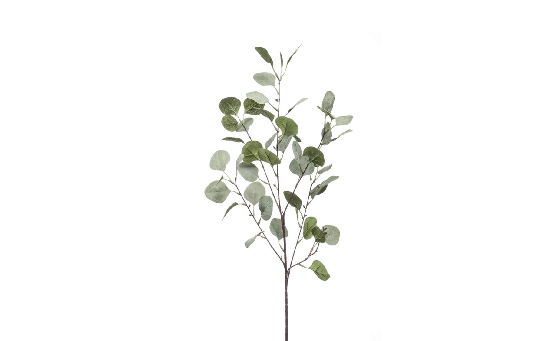 Umjetni cvijet Eucalyptus 87cm | Emmezeta webshop