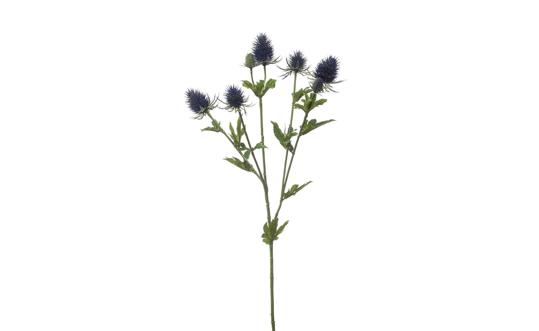 Umjetni cvijet Eryngium 70cm | Emmezeta webshop